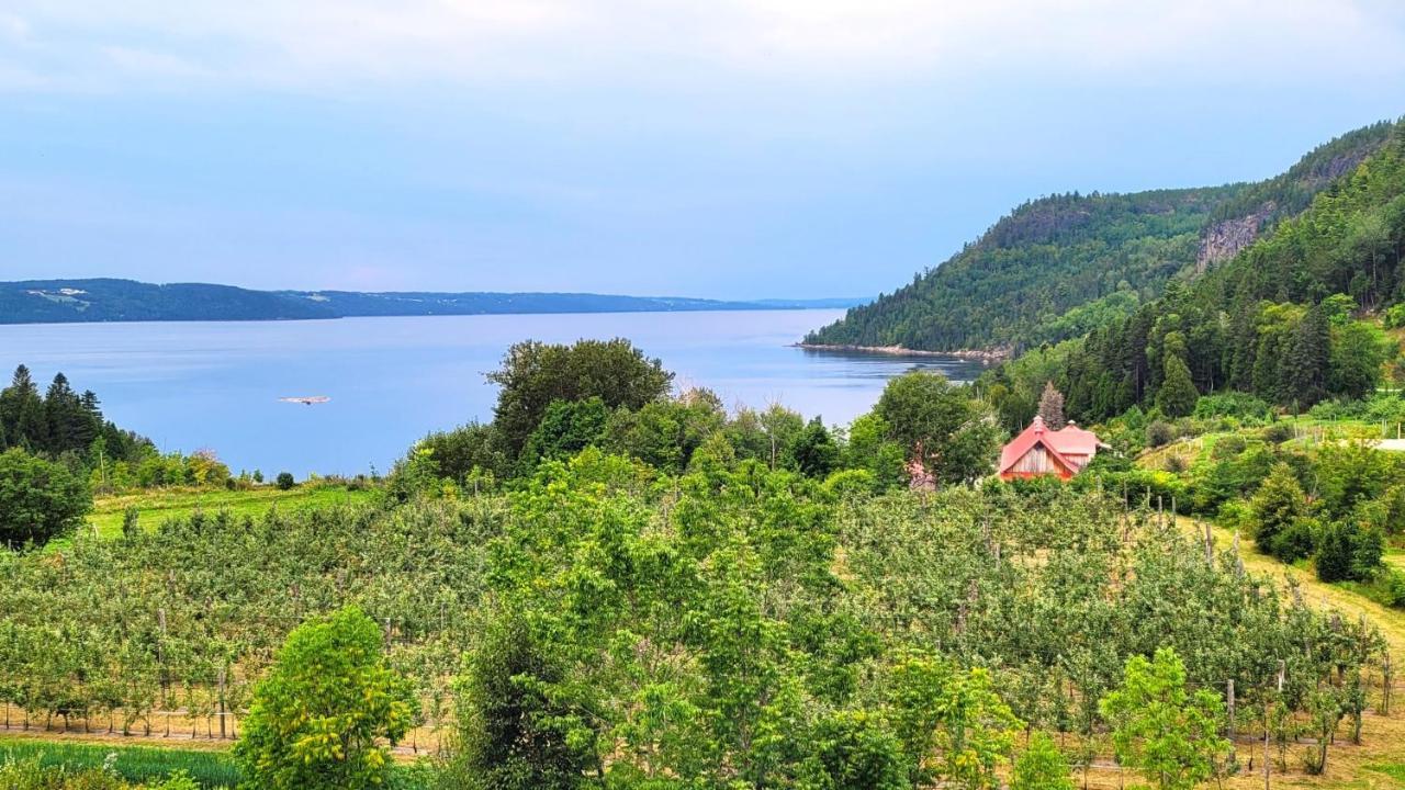 La Vieille Ferme, Ecogite Saint-Fulgence Экстерьер фото