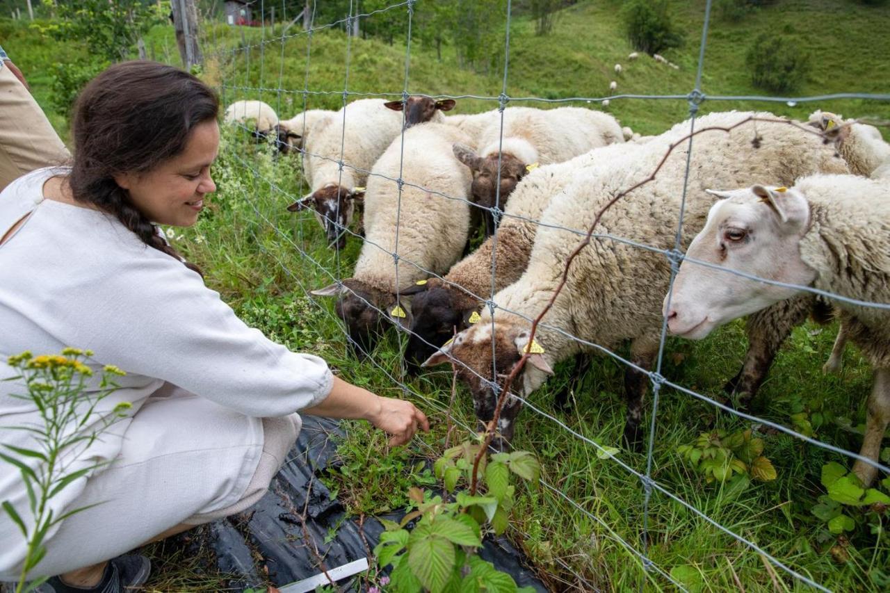 La Vieille Ferme, Ecogite Saint-Fulgence Экстерьер фото